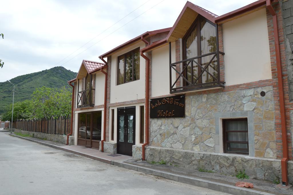 Hotel Bagineti Mtsʼkhetʼa Kültér fotó
